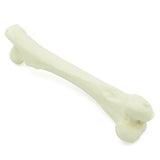 Femur | Dog
