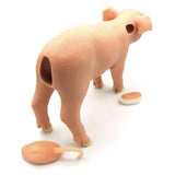 Castration Module - Castro