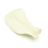 Scapula | Dog