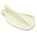 Scapula | Dog