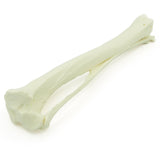 Tibia Intact - with Bone Marrow | Dog