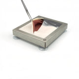 Abdominal Wall I Cow