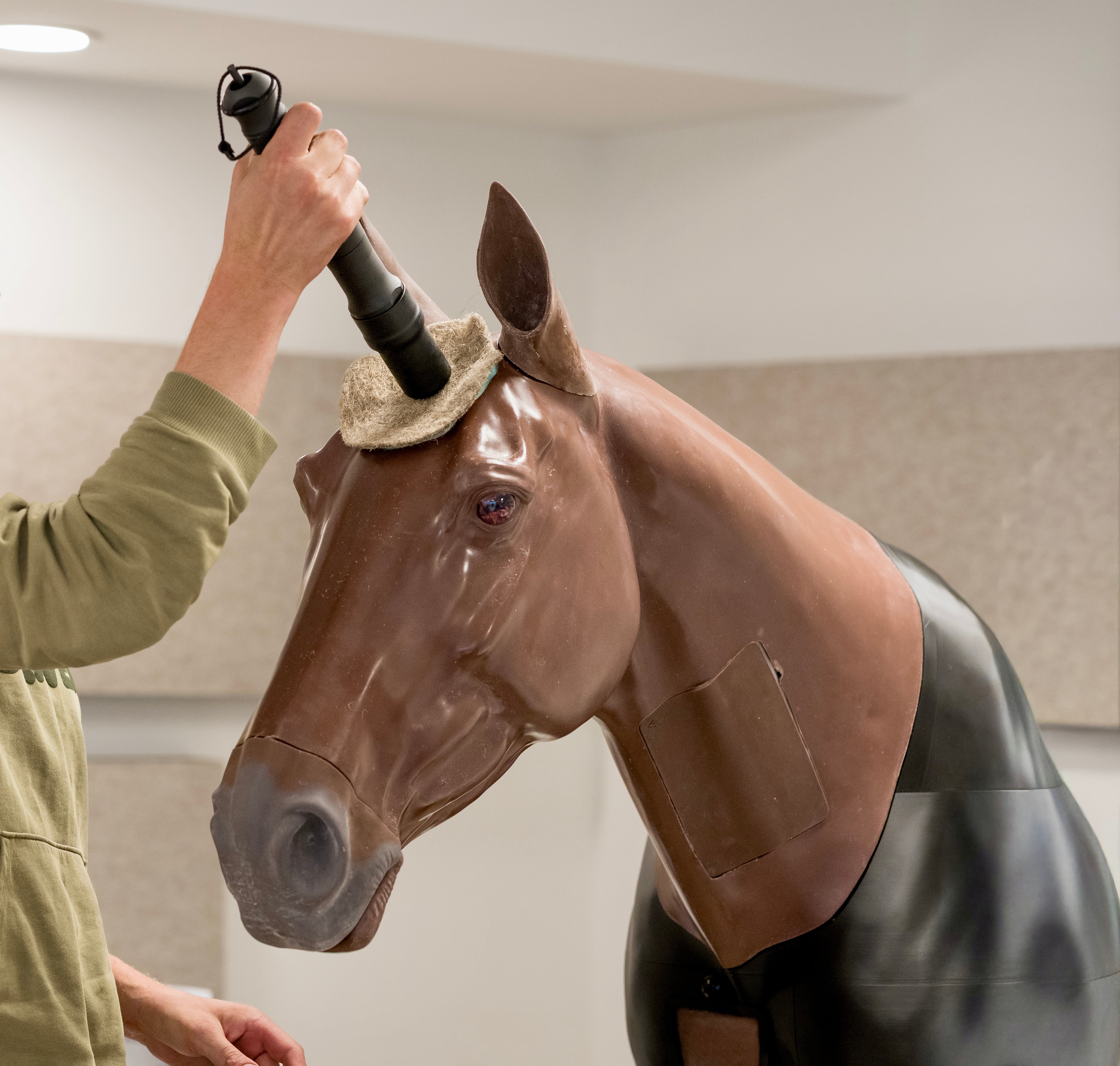 When the Pieces Come Together: Testing Our Horse Head Simulator Prototype
