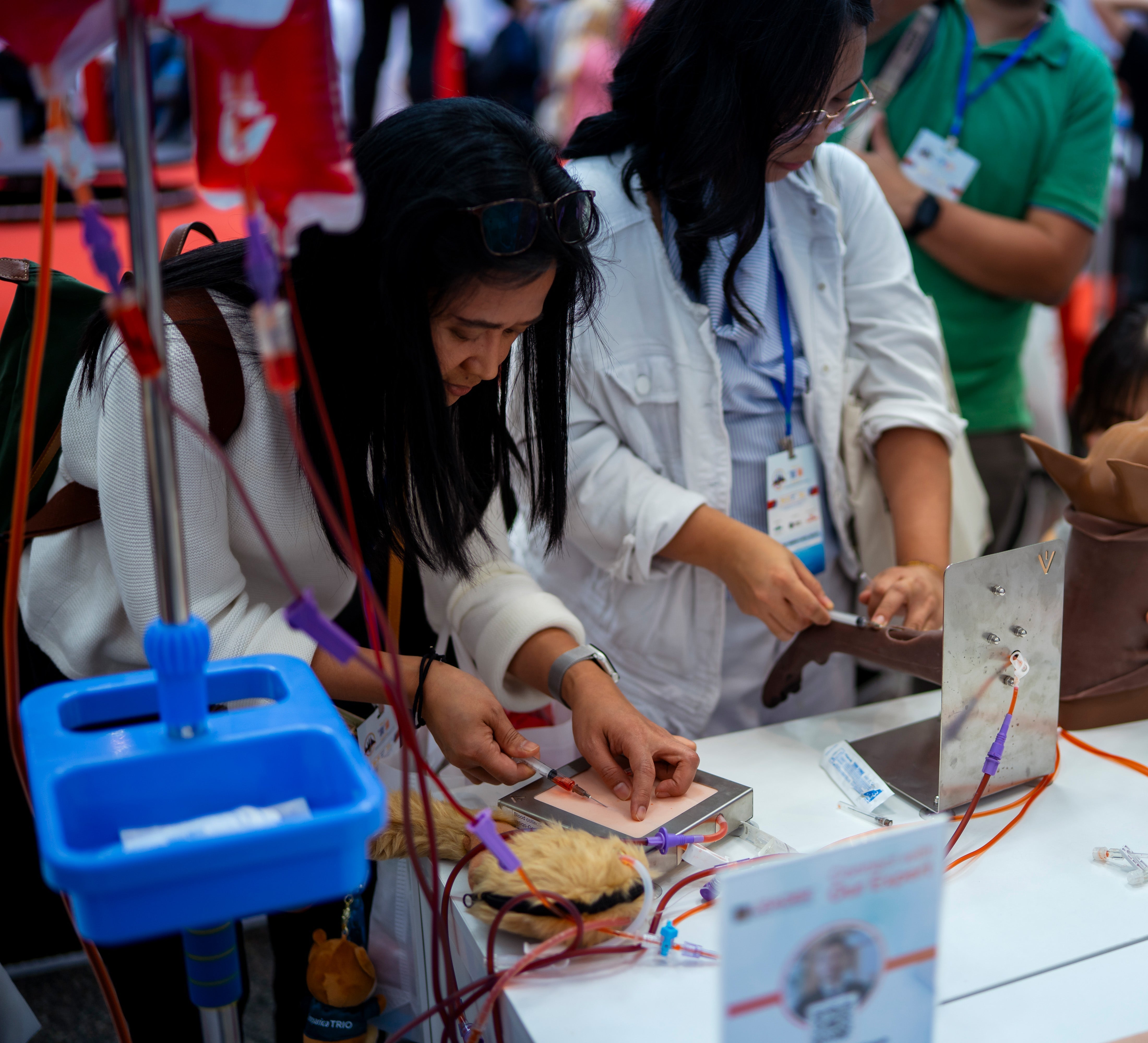 Strengthening Veterinary Nursing Education Through Collaboration