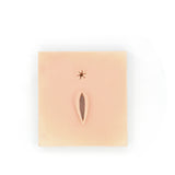 Vulva | Sheep