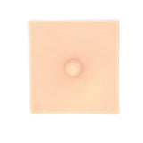 Teat | Cow