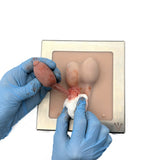 Castration Module - Castro
