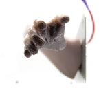 Rita Rhesus