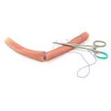 Jejunum