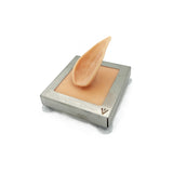 Ear Tag Trainer | Pig