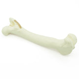 Femur Tr. major Fx | Dog