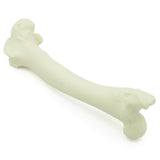Femur | Dog