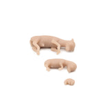 Fetus Set | Cow