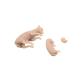 Fetus Set | Cow