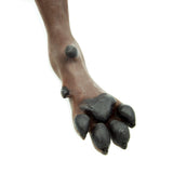 Mr. Vein