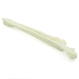 Radius & Ulna | Dog