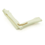 Radius & Ulna distal transverse Fx | Dog