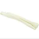 Radius & Ulna | Dog