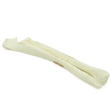 Radius & Ulna distal transverse Fx | Dog