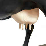 Smart Repro Cow - Udder