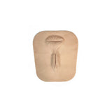 Smart Repro Cow - Vulva