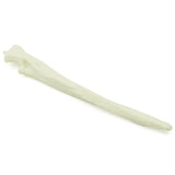 Ulna | Hund