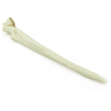 Ulna transverse olecranon Fx | Dog