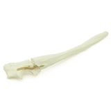Ulna comminuted olecranon Fx | Dog