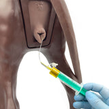 Artificial Urine