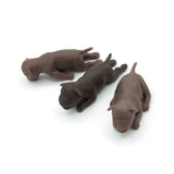 Puppy trio