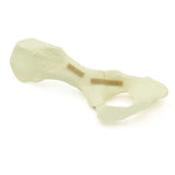 Hemipelvis Fx | Dog