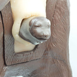Amniotic Sacs