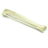 Tibia & Fibula | Katze