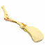 Forelimb | Dog