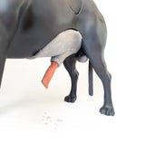 Androdog Andy