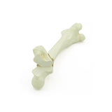 Femur Tr. major Fx | Dog
