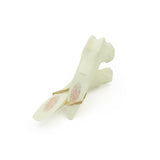 Femur long oblique Fx - with bone marrow | Dog