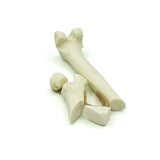 Femur Femoral Neck Fx and Comminuted Fx | Cat
