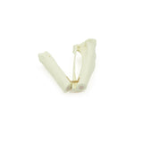 Tibia short oblique Fx - with bone marrow | Dog