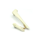 Tibia short oblique Fx | Cat