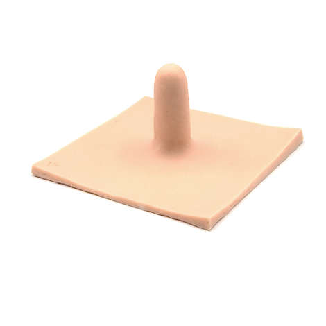 Teat – Cow