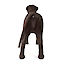 Thumb: Gyndog “Gynnie”