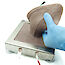 Thumb: Cow - Auricular Vein