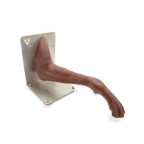 Mr. Vein