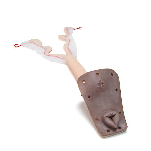 Uterus – Östrus