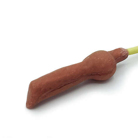 Penis