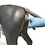 Thumb: Prostata - kastriert