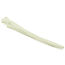 Thumb: Canine Ulna
