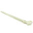 Thumb: Canine Ulna