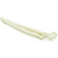 Thumb: Radius & Ulna - Hund